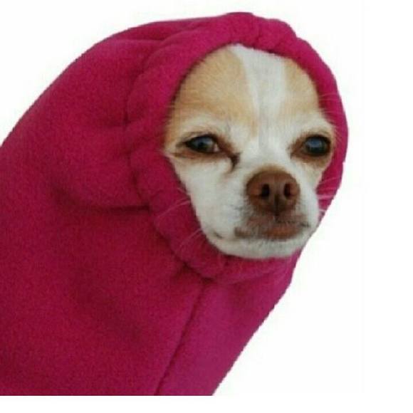 Meet your Posher, Daniel - Picture 1 of 1